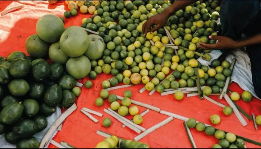 Imagen de referencia.