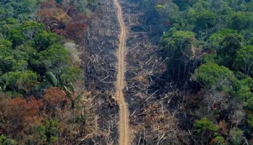 Aspecto de la Amazonía.