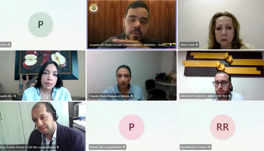 Audiencia Silva Gette.