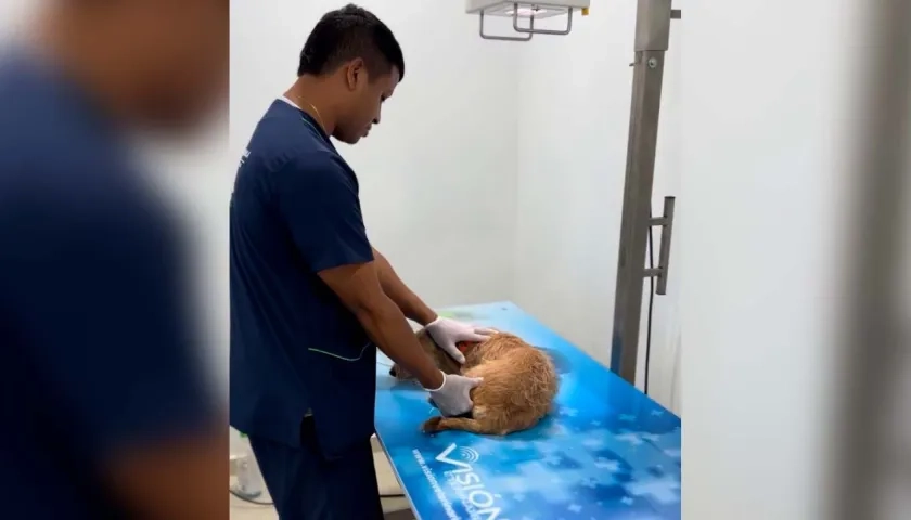 Durante el 2025, el centro ha brindado atención a 7.404 casos.