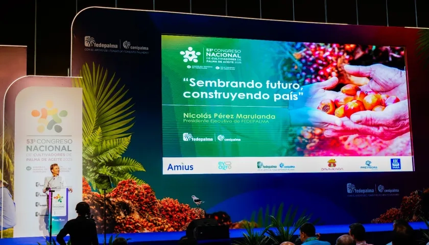 Nicolás Pérez Marulanda, presidente Ejecutivo de Fedepalma.