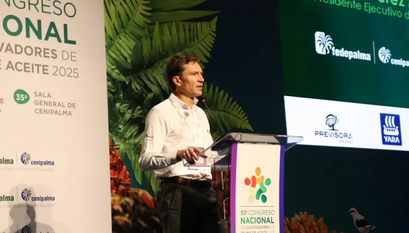 Nicolás Pérez Marulanda, presidente Ejecutivo de Fedepalma.