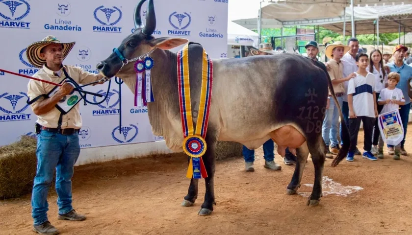 Atlántico, invitado especial en la Feria de la Ganadería de Montería.