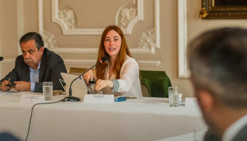 Gloria Miranda, directora de Sustitución de Cultivos de Uso Ilícito.