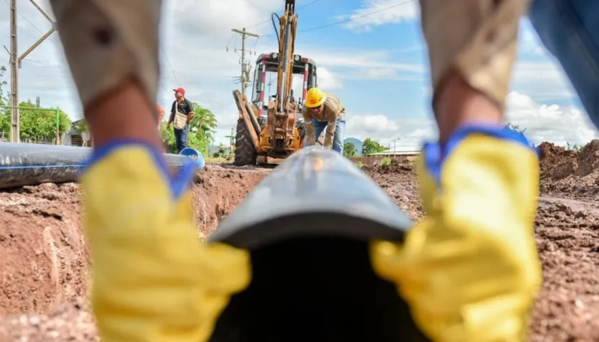 Imagen de referencia.