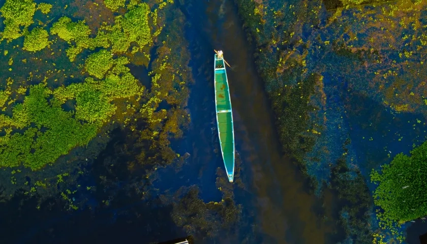 Así se ve la ciénaga en Nueva Venecia