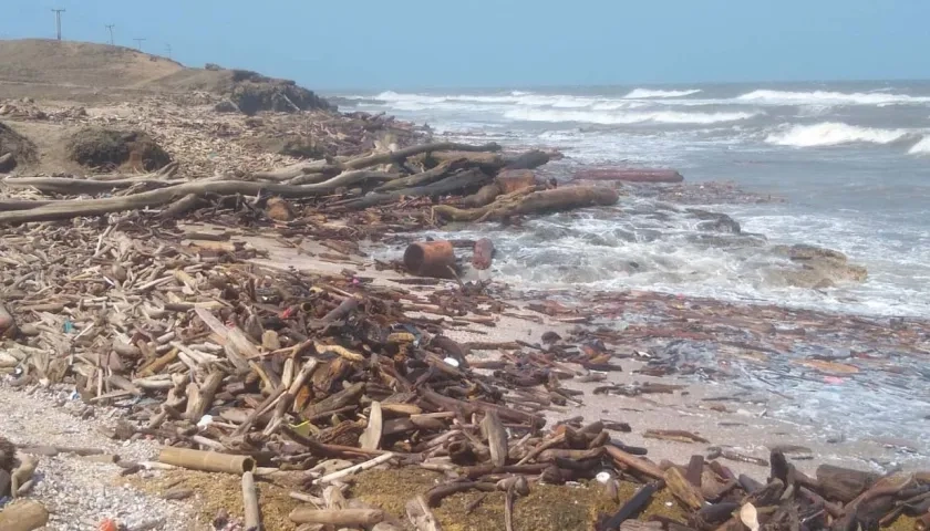 La investigación se llevó a cabo en siete playas remotas del Caribe colombiano. 