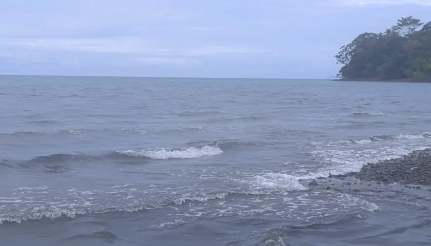 Imagen de referencia.