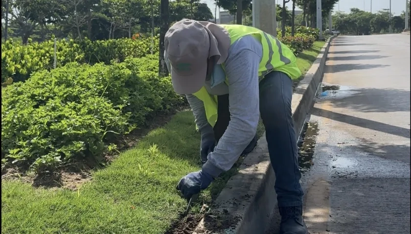 Intervención en corredor portuario.