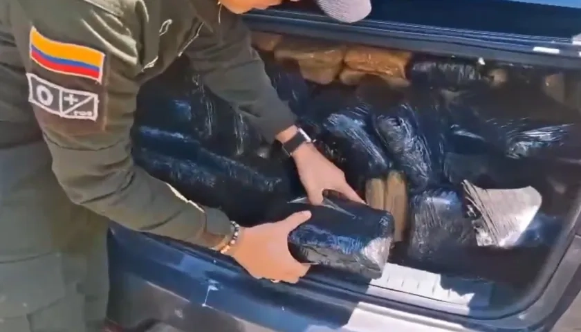 Marihuana incautada. 