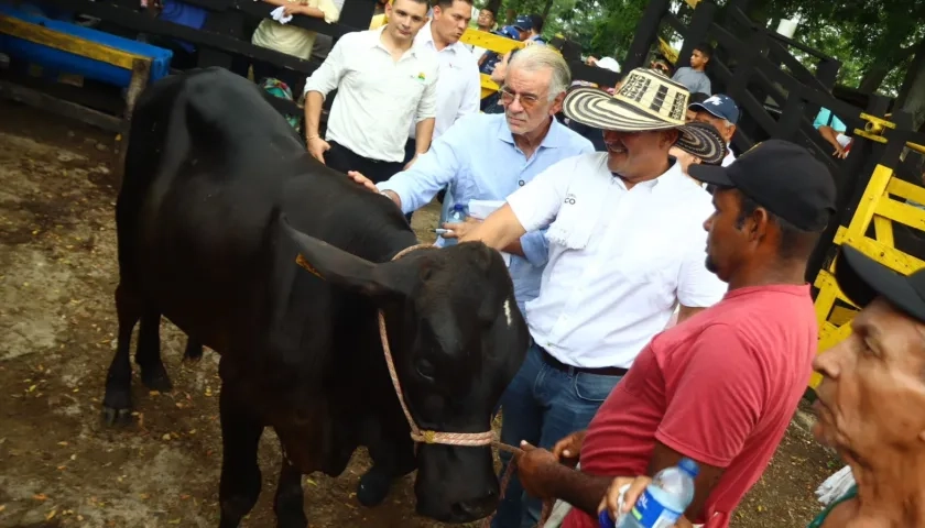Esta iniciativa beneficiará a 70 pequeños ganaderos del departamento.