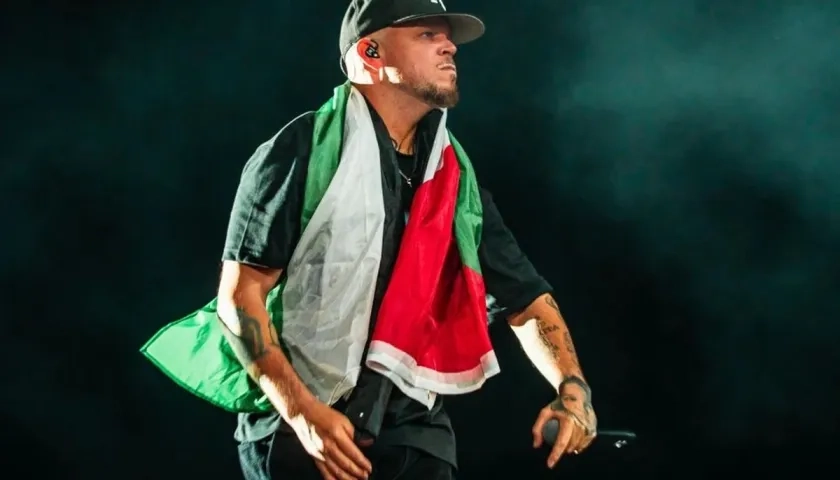 El artista con una bandera Palestina durante un concierto. 