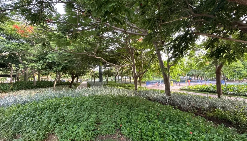 Parque Espejo en Villa Carolina intervenido.