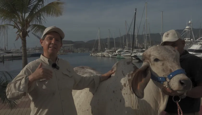 Presidente de Fedegán en la presentación de los 500 años de la ganadería en Colombia