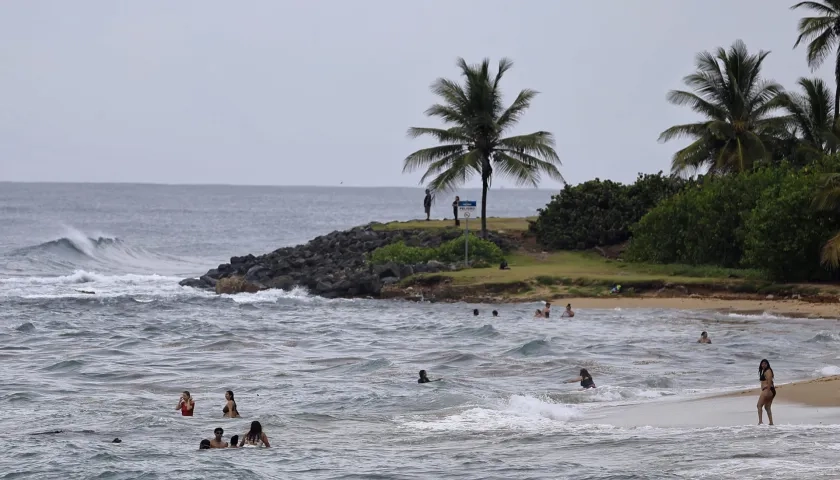 Imagen de referencia.