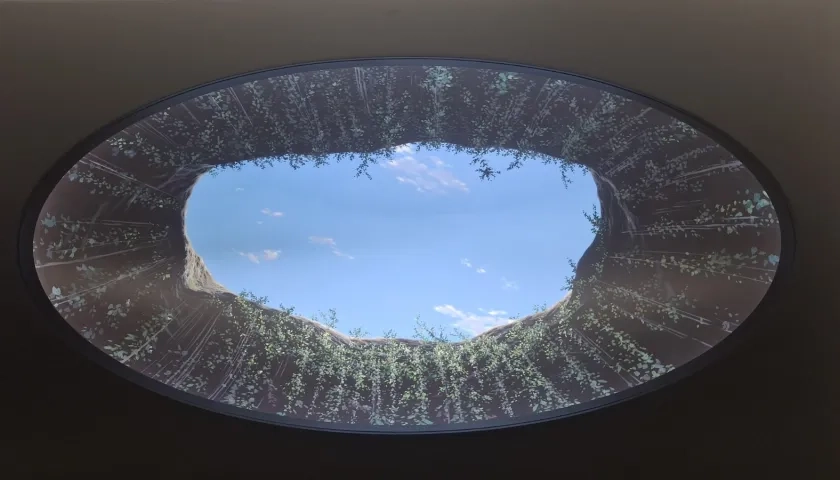 'Vértice y Horizonte': la exposición que fusiona naturaleza y arte en Barranquilla