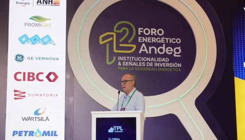 Juan Benavides, investigador de Fedesarrollo.