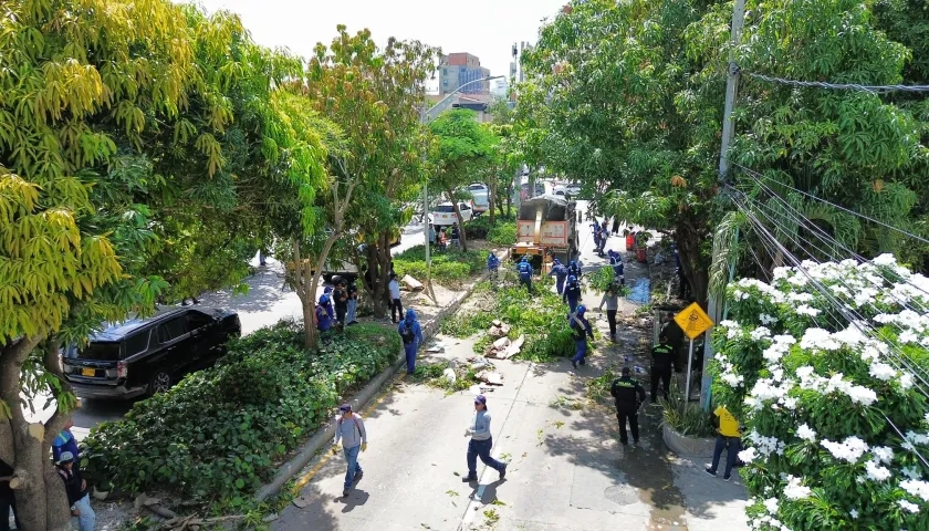 La jornada de limpieza este jueves en la carrera 46 con calle 93. 