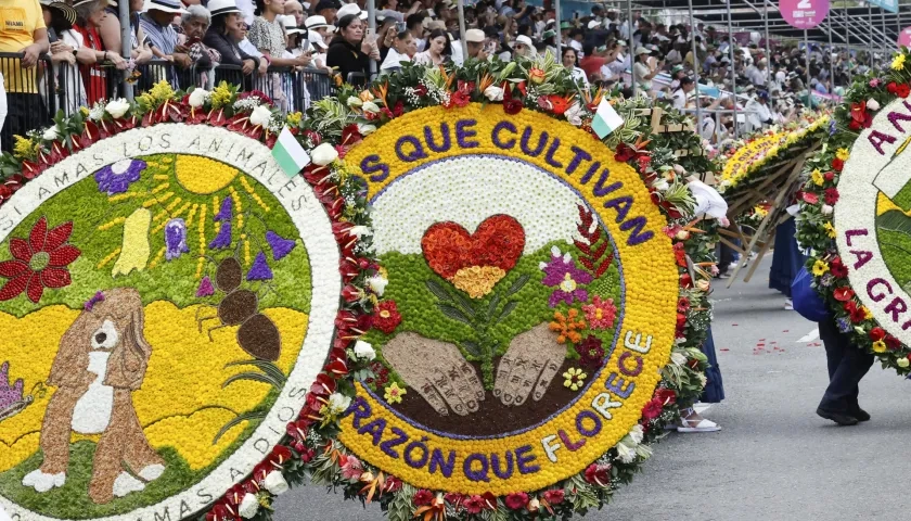 Silleteros participan en el Desfile de Silleteros durante la Feria de las Flores 2025.