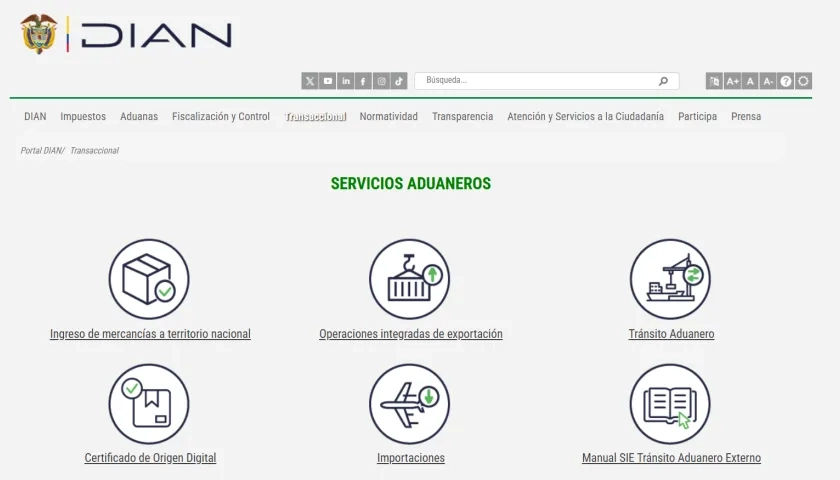 Pagina web de la Dian. 