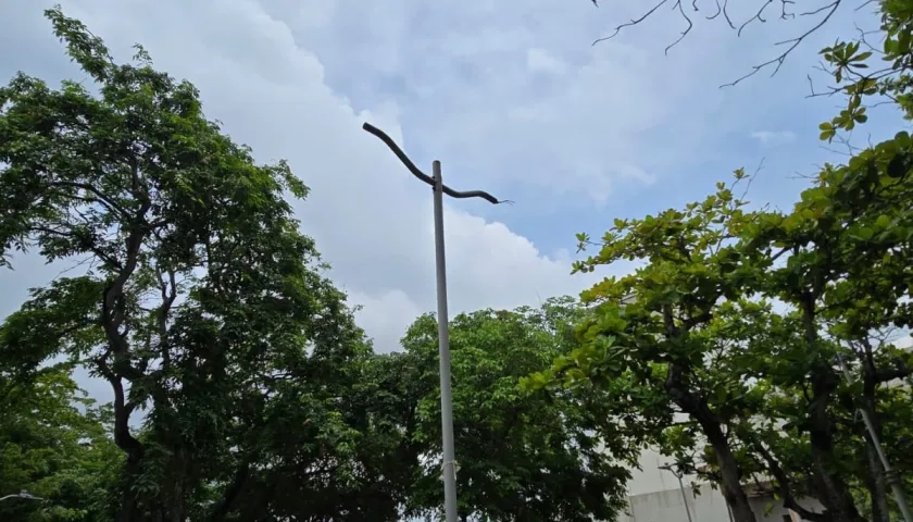 Hurtaron 22 luminarias.