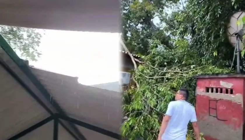 Daños en la infraestructura del colegio. 