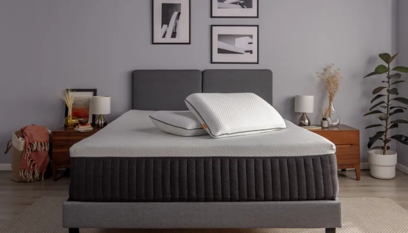 Imagen de referencia.