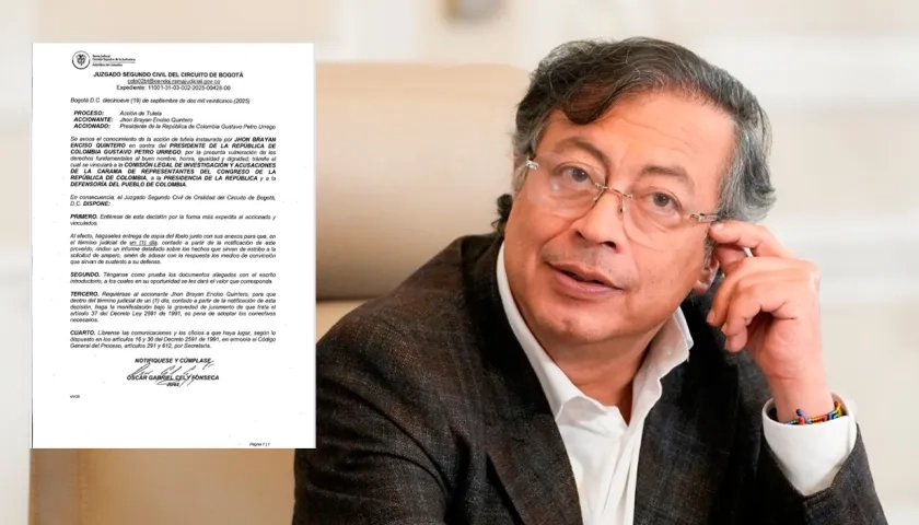 La tutela y el Presidente Gustavo Petro.