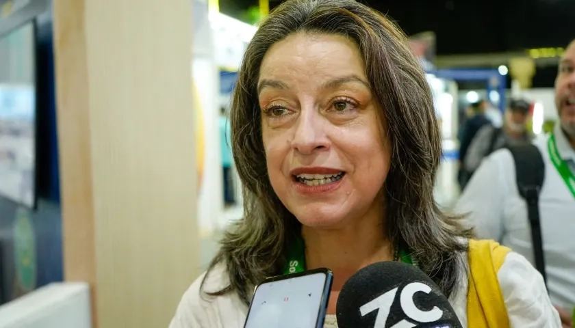 Sandra Fonseca, directora Ejecutiva de Asoenergía.