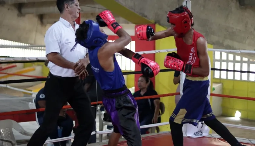 El torneo se disputa en las categorías infantil, junior, juvenil y mayores.