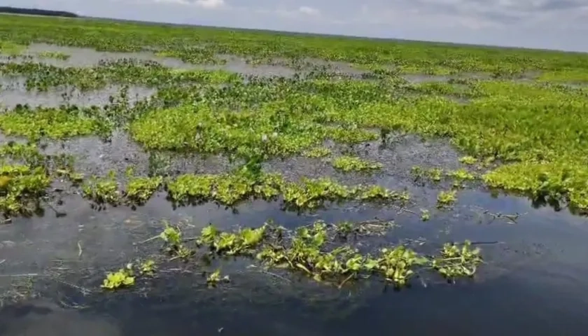 Así se ve la margen occidental de Nueva Venecia