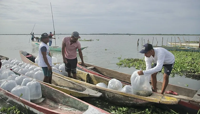 Beneficiarios del ‘Plan + Pescao’