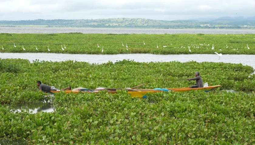 Embalse del Guájaro