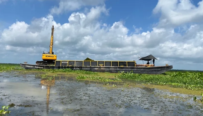 La invasión de Hydrilla en la Ciénaga Grande de Santa Marta