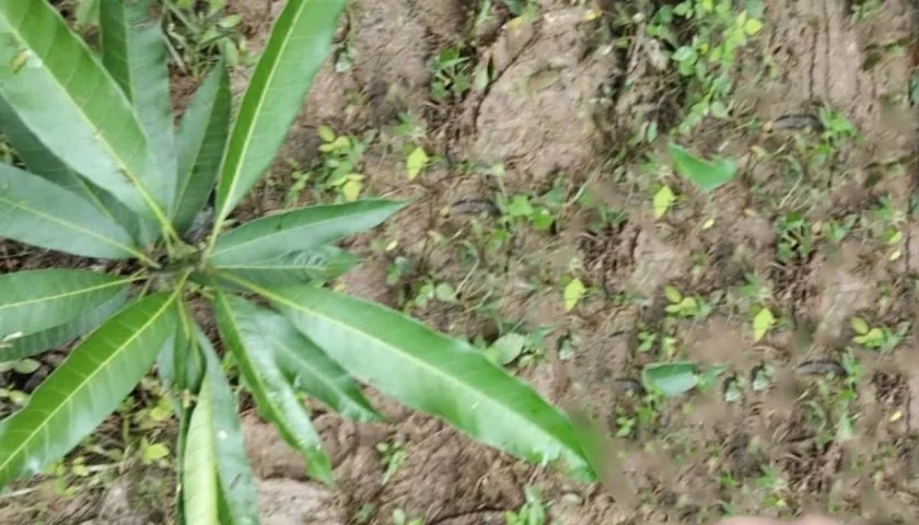 Hallan sin vida a un hombre dentro de una vivienda en Juan de Acosta