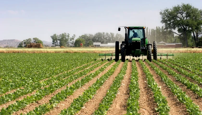 Imagen de referencia.