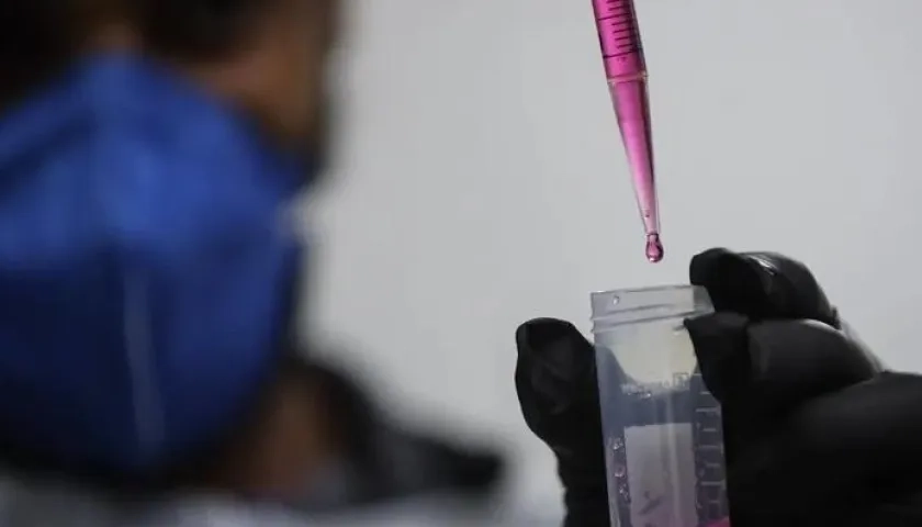 Imagen de referencia.