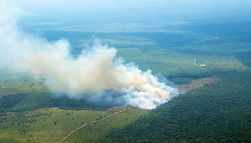 Incendios forestales.