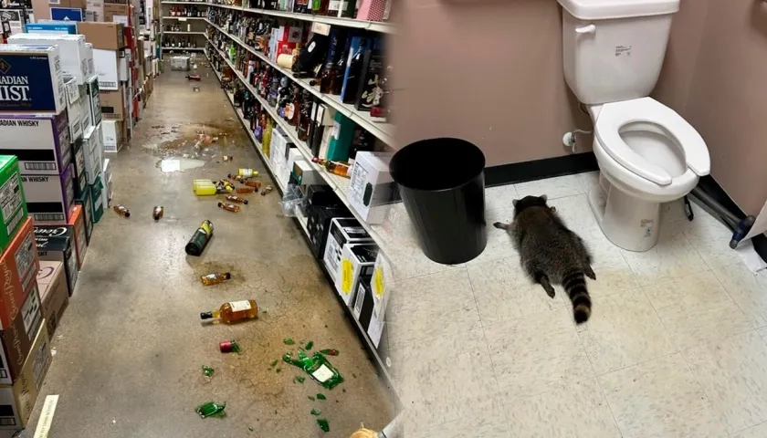 Fotografías difundidas por las autoridades.  