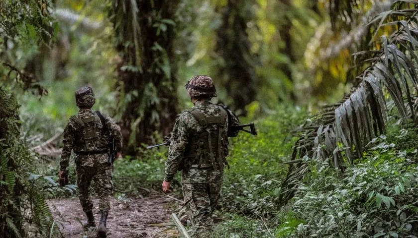 Imagen de referencia.