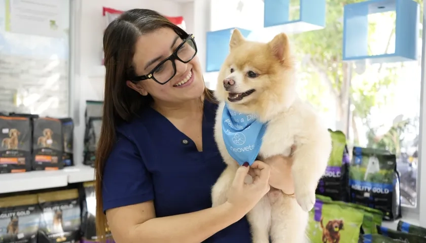 Las mascotas sufren con la pólvora