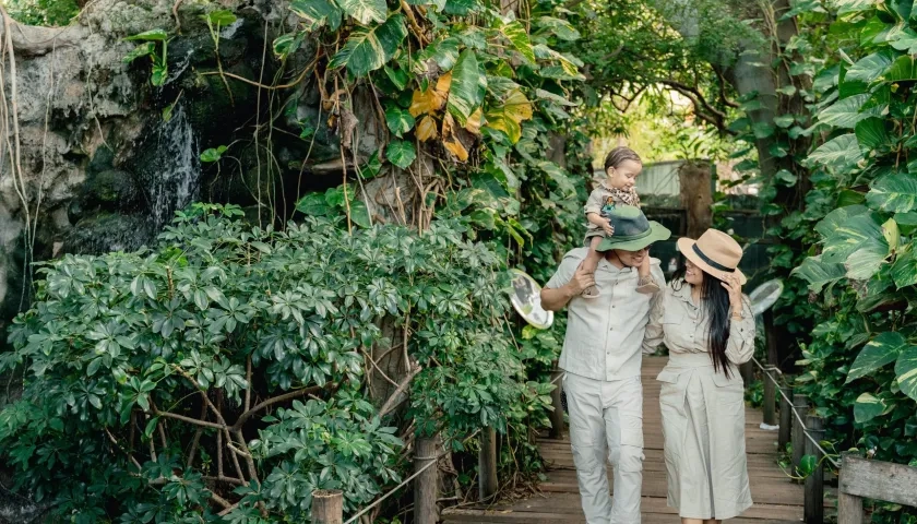Hay varios planes para la familia en el Zoológico. 