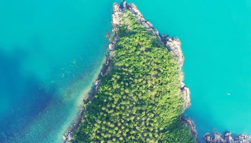 Imagen de referencia.