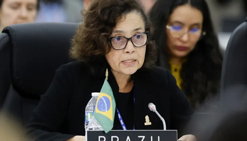 Secretaria General de Asuntos Exteriores de Brasil, Maria Laura da Rocha.