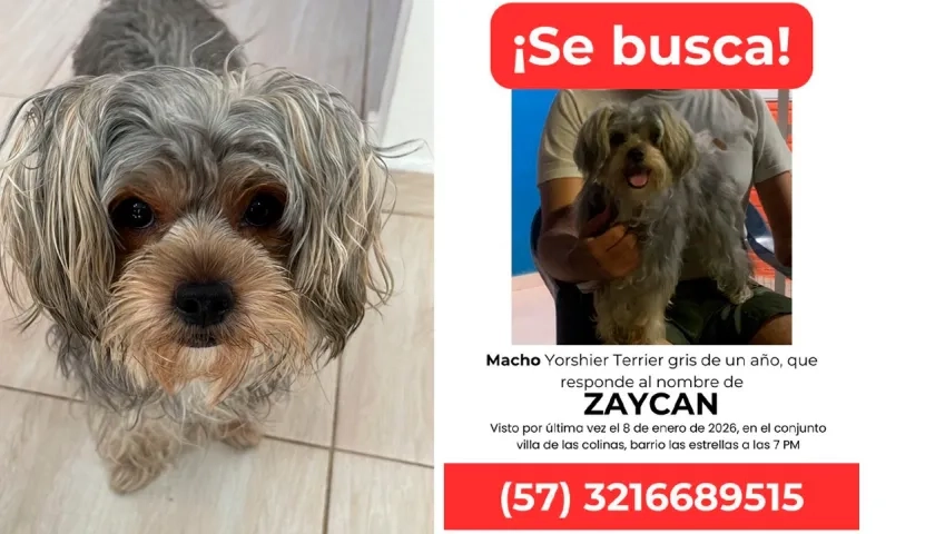 Una foto de Zaykan y el afiche que su familia está distribuyendo