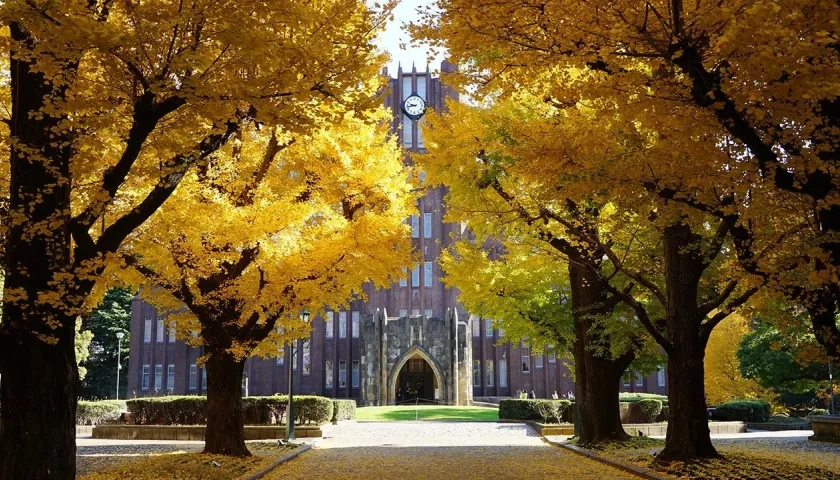 Universidad de Tokyo