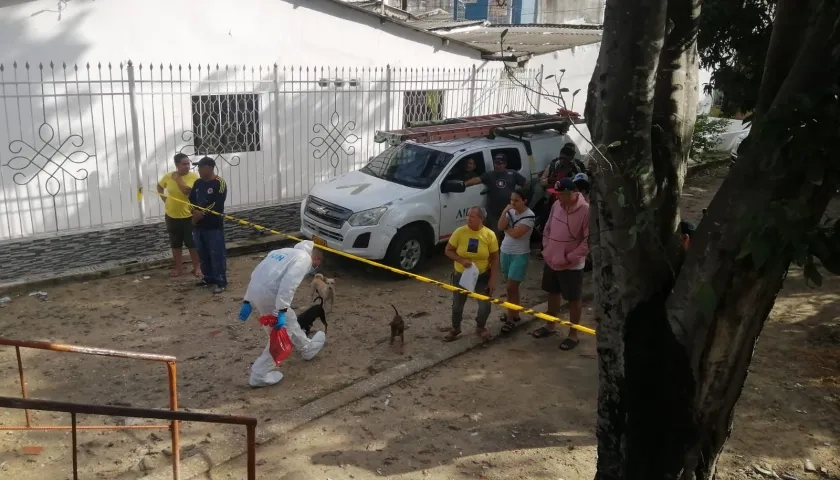 Diligencias de levantamiento.