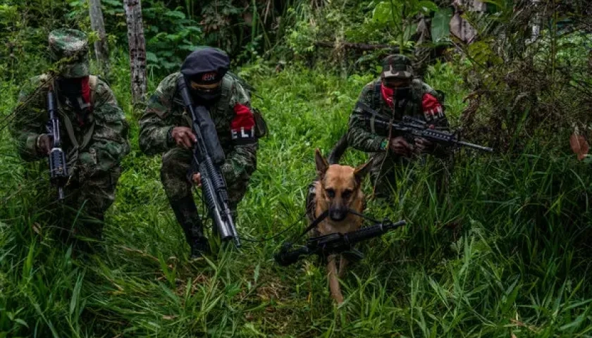 Guerrilla del ELN