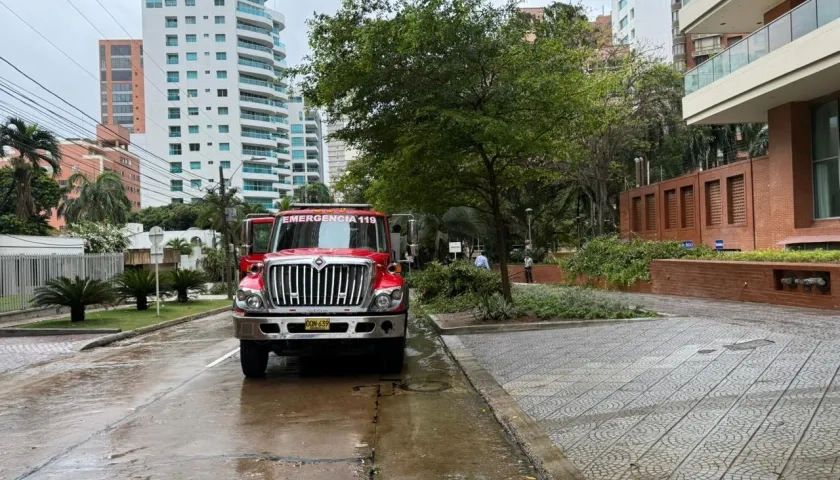 Imagen de referencia.