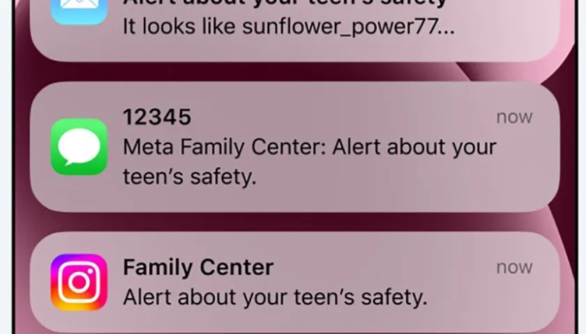 Imagen de la notificación de alerta.